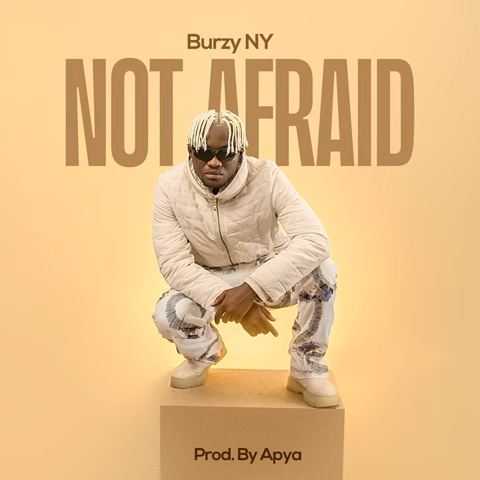 Burzy NY – Not Afraid